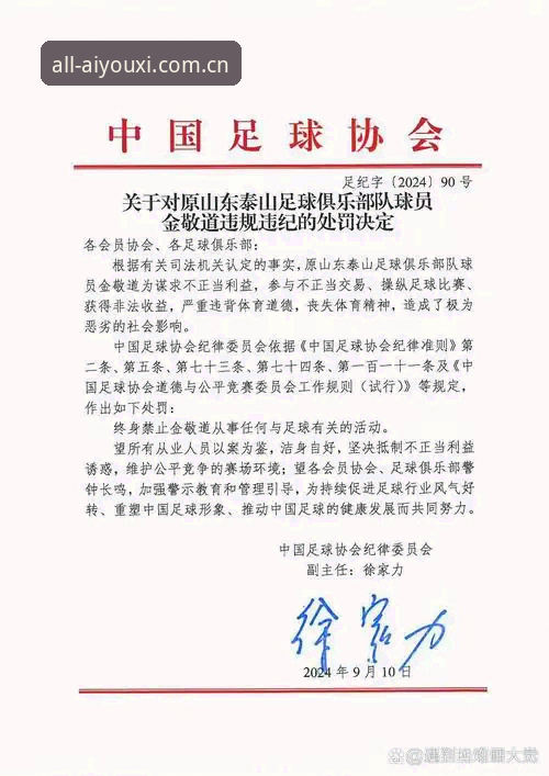 爱游戏最新版本 中国足协第三批禁足名单全面解析:65人遭处罚背后的足球生态深度反思
